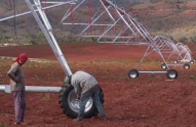 Fazenda para venda em Diamantina